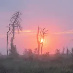 Sport- Und Worriken Bed & Breakfast Butgenbach