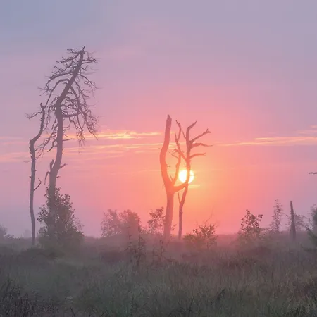 Worriken Bed & Breakfast Bütgenbach