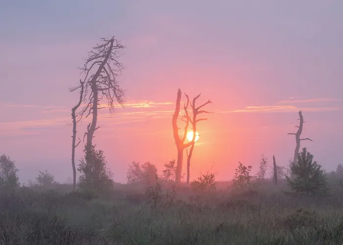 Sport- Und Worriken Bed & Breakfast Butgenbach